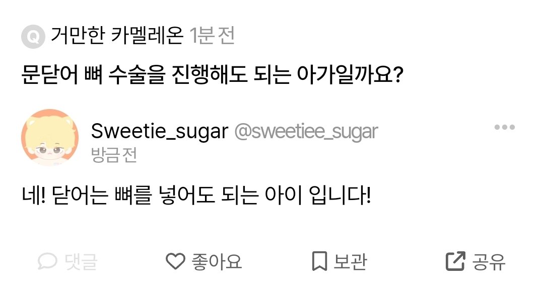 닫어는 뼈를 넣어도 됩니다!