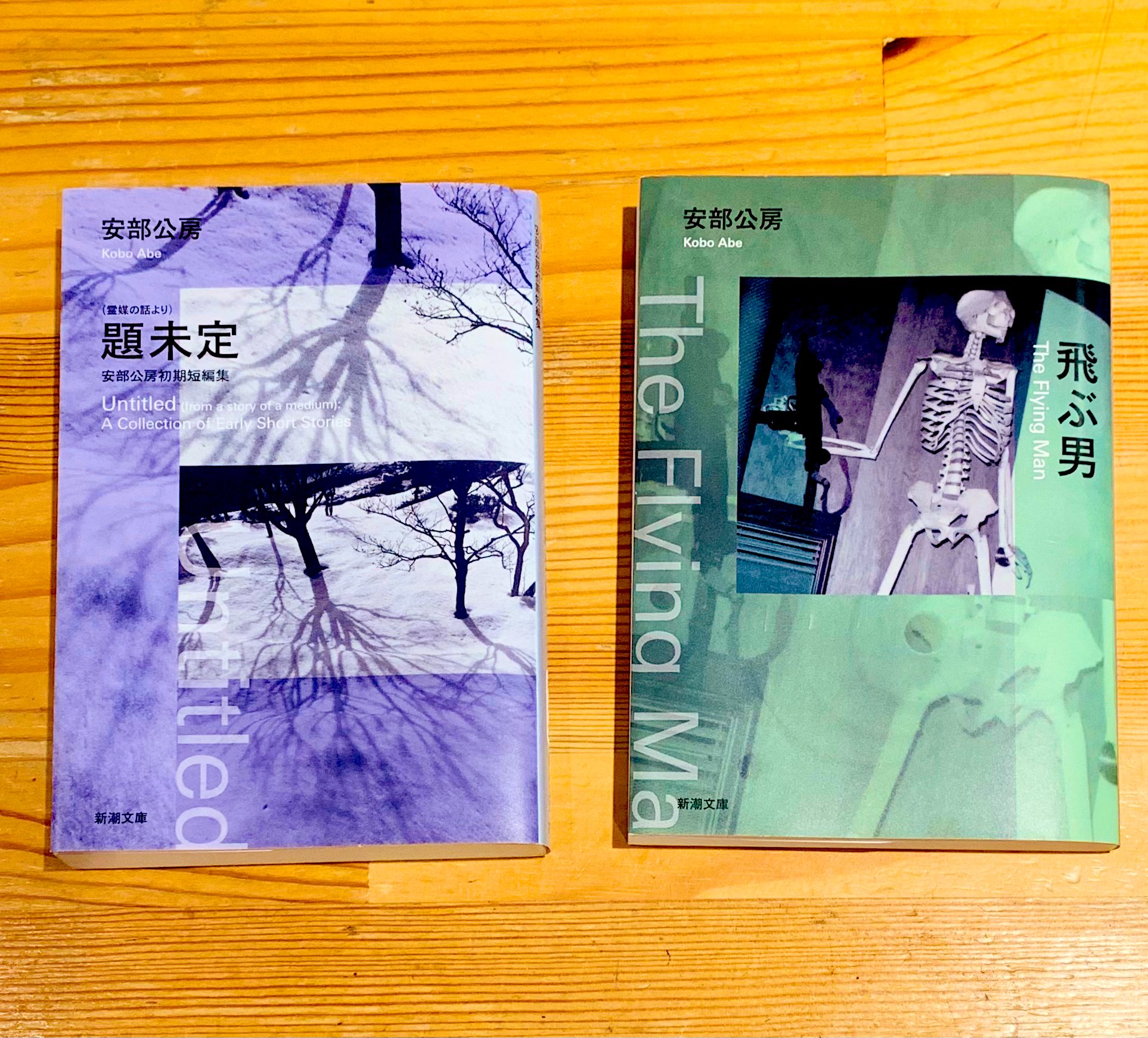 改定史籍集覧 第４冊/臨川書店/近藤瓶城（単行本） 改定史籍集覧 第4冊/臨川書店/近藤瓶城（単行本）