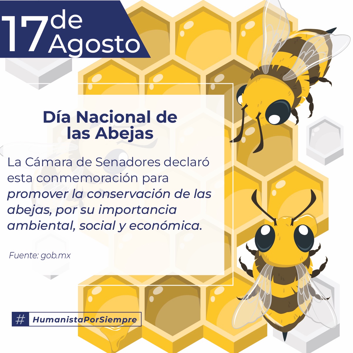 Hoy es el Día Nacional de las Abejas, establecido por la Cámara de Senadores para promover la conservación de esta especie por su importancia ambiental, social y económica.

#HumanistaPorSiempre #UMSNH