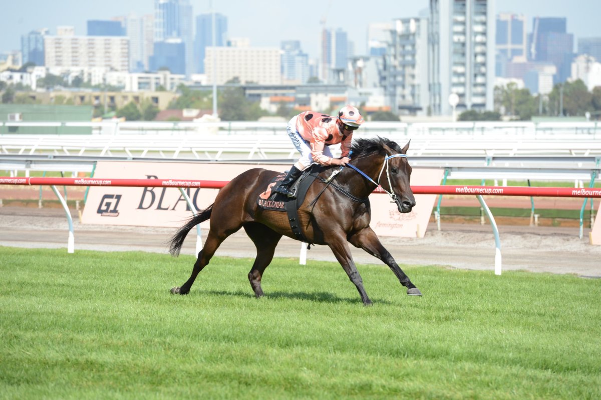 Aushorse_TBA's tweet photo. Black Caviar, one of the greatest racehorses of our lifetime, has died.

Undefeated with 25 wins, she not only wowed fans from the tip of Queensland to the furthest reaches of WA, but world-wide audiences as well.

Indeed, her victory in the Group 1 Diamond Jubilee at Royal Ascot could well have been her greatest ever.

Vale BLACK CAVIAR.

📸 Racing Photos

@theTDN @bloodstocknews @anz_news @TTRAusNZ