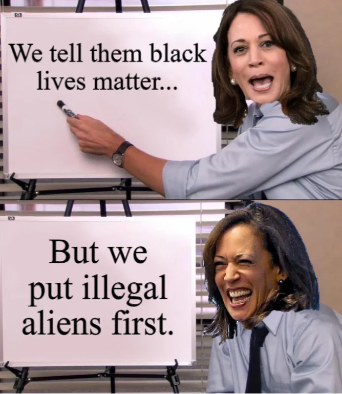 TROLLtheLibz's tweet image. #Kamala #memeDrop