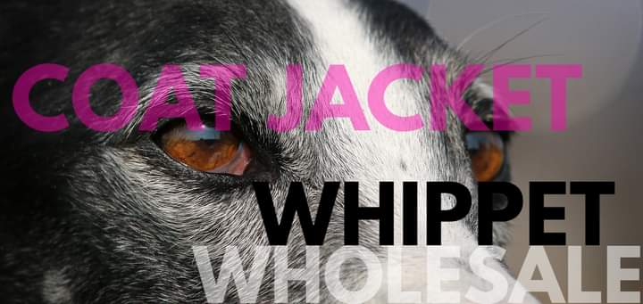 Do You Want Pet Dog Greyhound Coat. Wholesale Prices Rate Seting.
Pet Dog Coat Jacket For Sale.
bww.com.pk High Quality Wholesale Manufacture Coat Jacket Sample Free ✓#dog