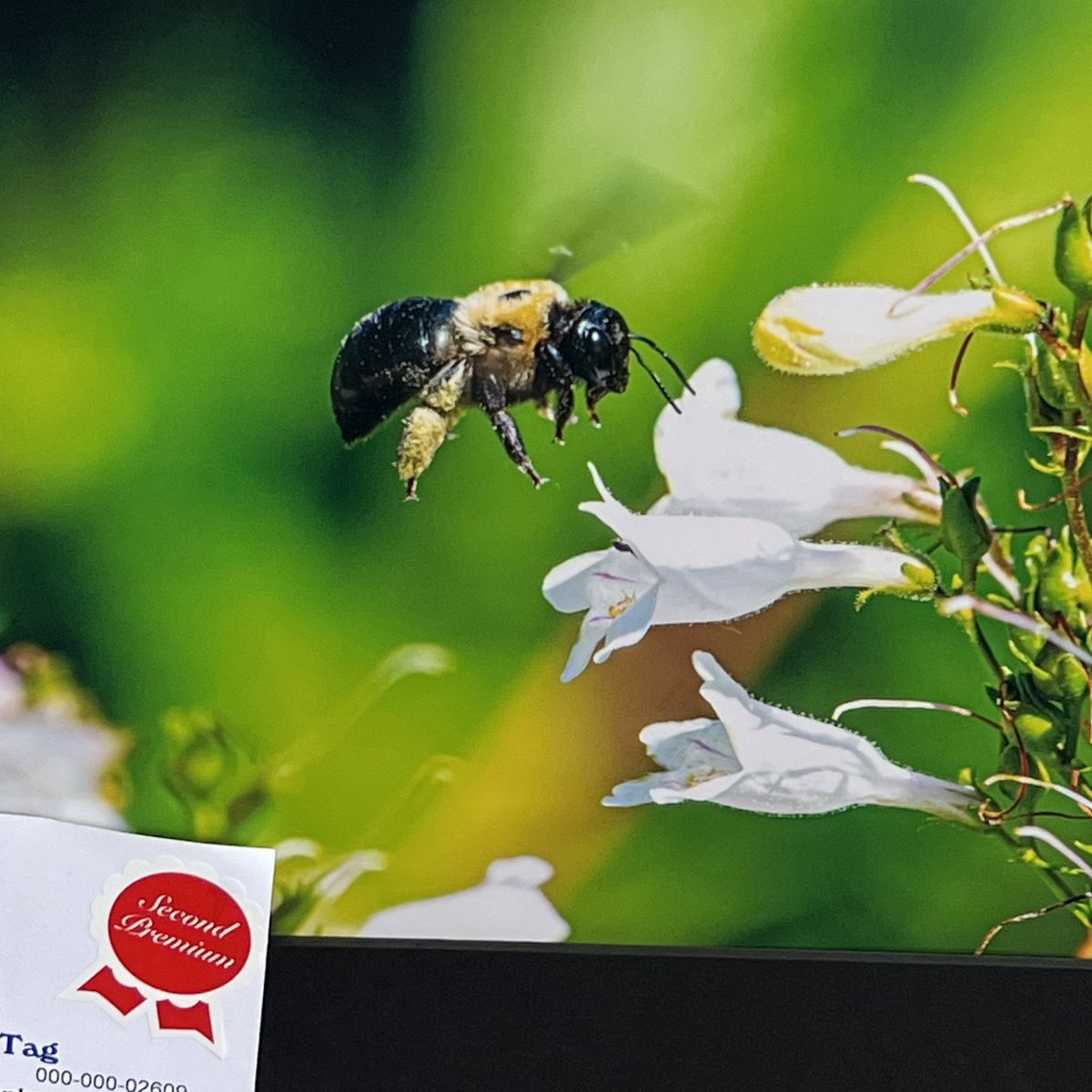 Jeff Hyde tweet media