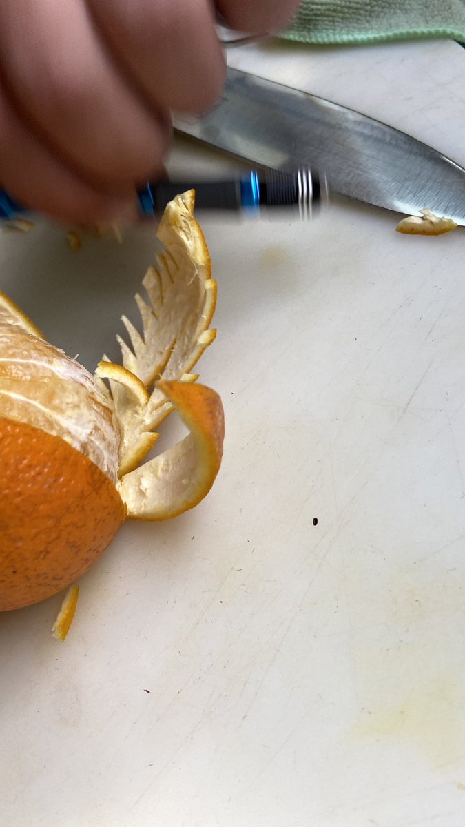 CSOPAK HOTEL tweet media