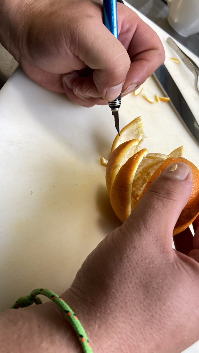 CSOPAK HOTEL tweet media