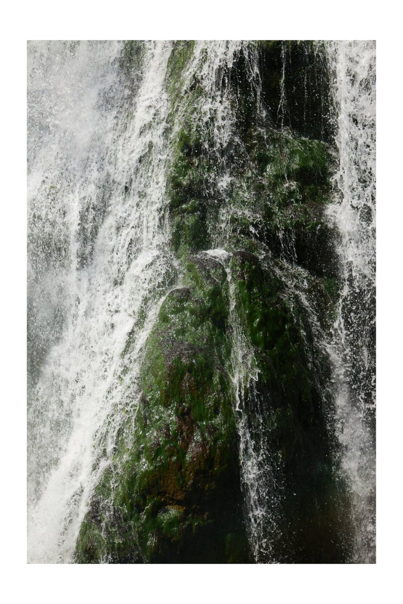 Edrismahmudian's tweet photo. GM fam

Green waterfall
10/10     5 #TEZ

On @objktcom

https://t.co/k3QTqCNO2Q

#photography https://t.co/hHwhIUqPAi
