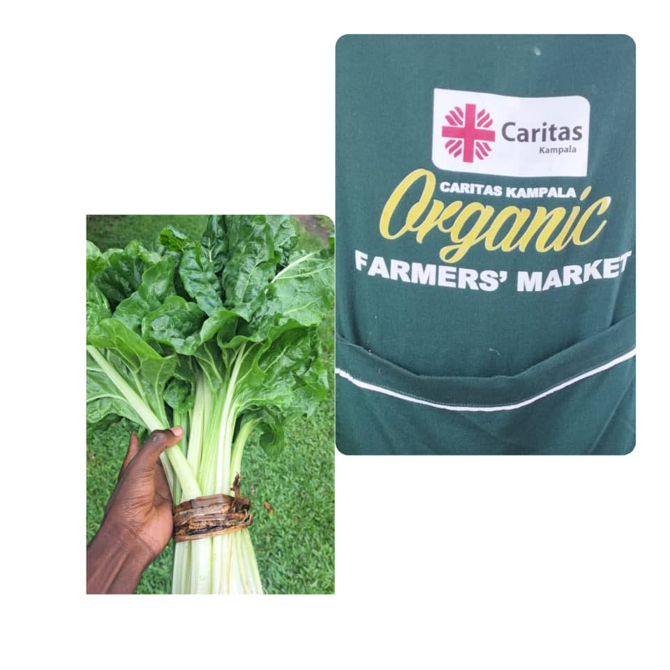 Food safety is key.Nogamu and Caritas Kampala Farmer's Market.
We are at Cardinal Nsubuga Leadership Centre every Saturday 9am-5pm.