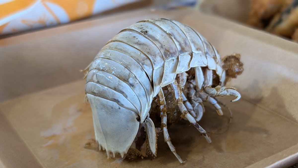 spinalien's tweet photo. これを、こうして、こう（素揚げ）（美味い） https://t.co/wotbv51PeX