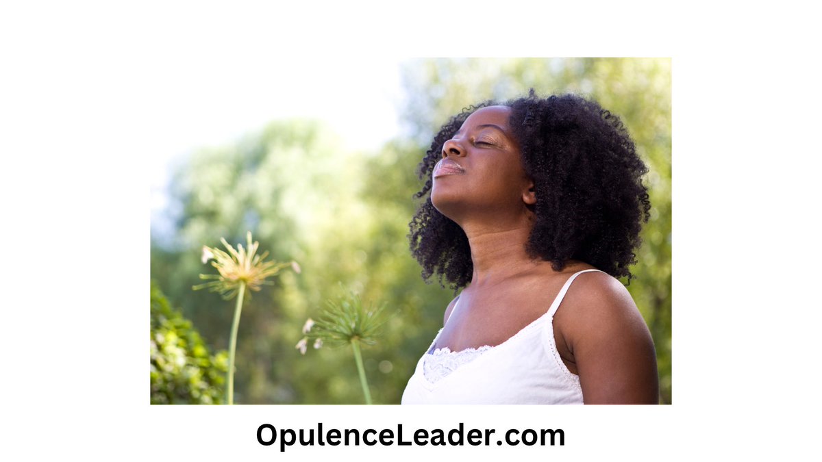 RodneyLawsonLLC's tweet image. Experience PEACE and CONFIDENCE by knowing your Leadership is value-grounded and impactful. 

Coming Soon‼️

#OpulenceLeader 💪🏾 #SafeSpace