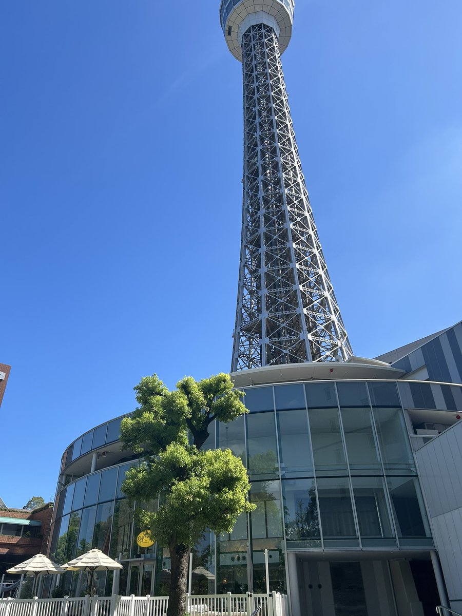 横浜に来ております！