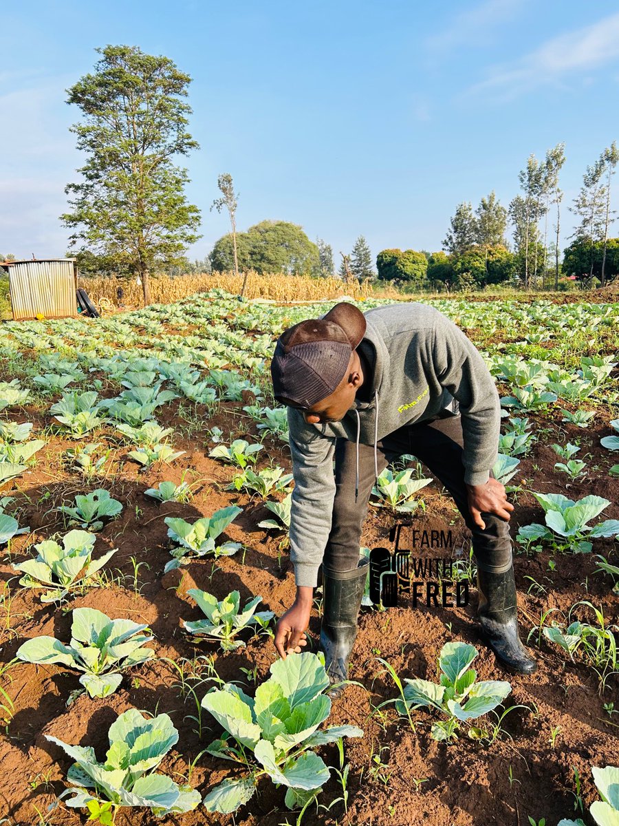 Farm With Fred tweet media