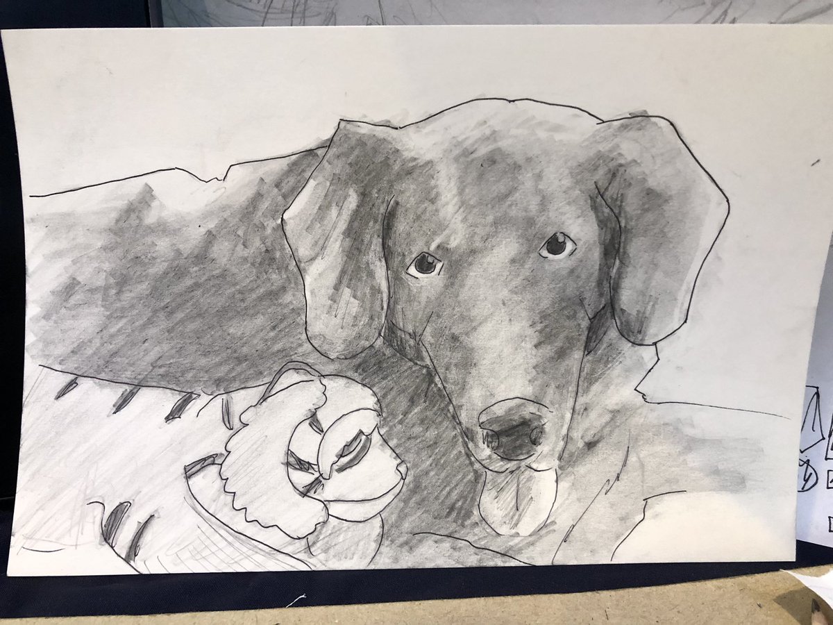 wolfiebro123's tweet photo. Commissioned to draw Arno the dog! It’s his one year death anniversary. Owners are very wholesome. 

#Patronofthearts #pets https://t.co/7PUsN2coB5
