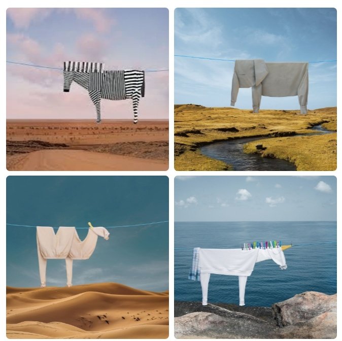 womensart1's tweet photo. More of artist Helga Stentzel's fun clothesline animals #WomensArt #Saturday https://t.co/TQDxALAGJR