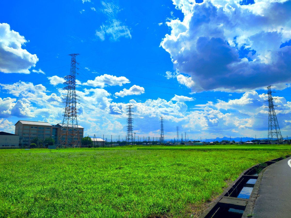 さっくん🐺🌱 tweet media