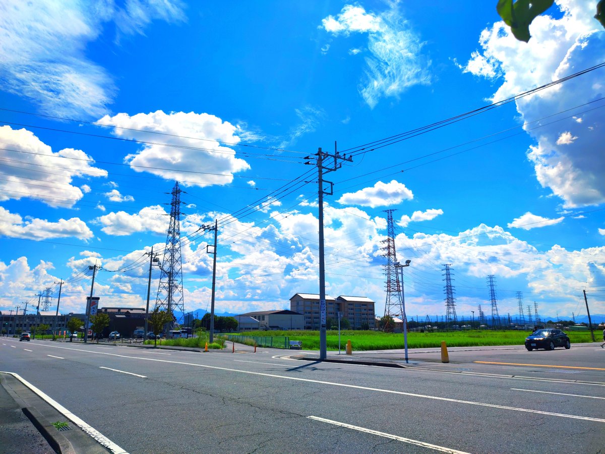 さっくん🐺🌱 tweet media