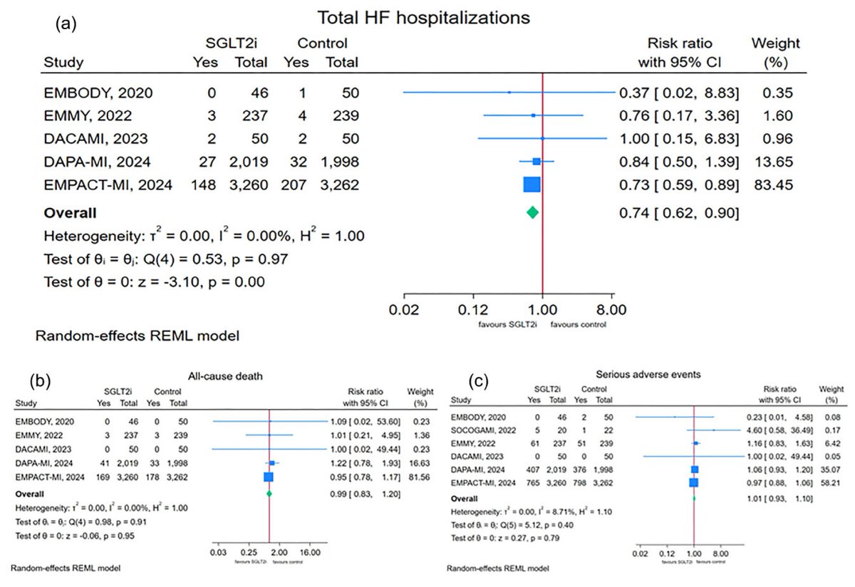 European Society of Cardiology Journals (@esc_journals) on Twitter photo Safety and efficacy of early initiation of #SGLT2i after #ACS. An updated meta-analysis just published in #EHJPharmacotherapy bit.ly/3Z5K1G3 <a href="/EditorEHJCVP/">EHJ-CVP Editor-in-Chief</a> <a href="/FeliceGragnano/">Felice Gragnano</a> <a href="/LaboranteRenzo/">Renzo Laborante</a> <a href="/DDamario/">Domenico D'Amario</a> <a href="/GianluSava/">Gianluigi Savarese</a> <a href="/CardioNovara/">Cardiologia Novara</a> Safety and efficacy of early initiation of #SGLT2i after #ACS. An updated meta-analysis just published in #EHJPharmacotherapy bit.ly/3Z5K1G3 <a href="/EditorEHJCVP/">EHJ-CVP Editor-in-Chief</a> <a href="/FeliceGragnano/">Felice Gragnano</a> <a href="/LaboranteRenzo/">Renzo Laborante</a> <a href="/DDamario/">Domenico D'Amario</a> <a href="/GianluSava/">Gianluigi Savarese</a> <a href="/CardioNovara/">Cardiologia Novara</a>