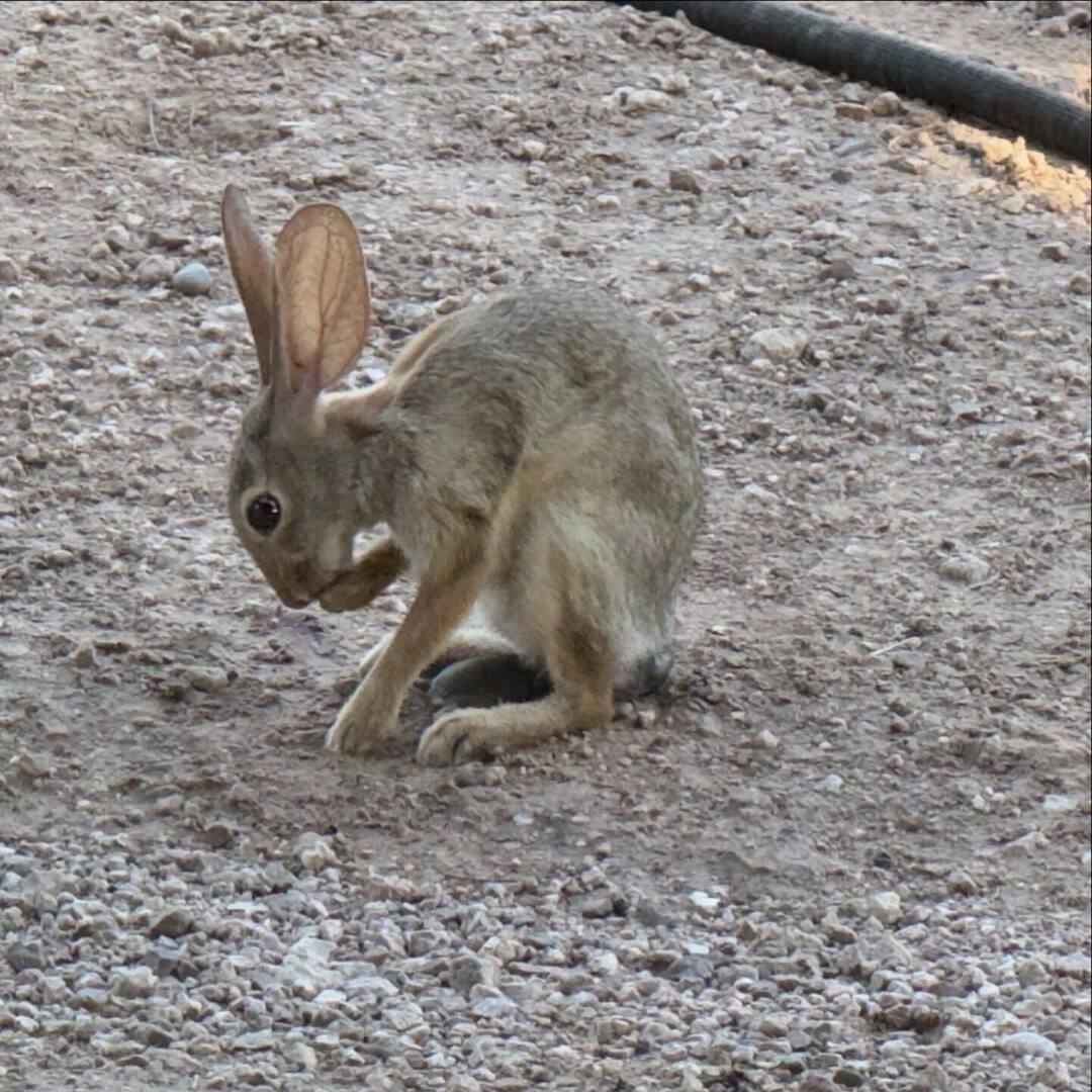 Stuff Andy Makes tweet media