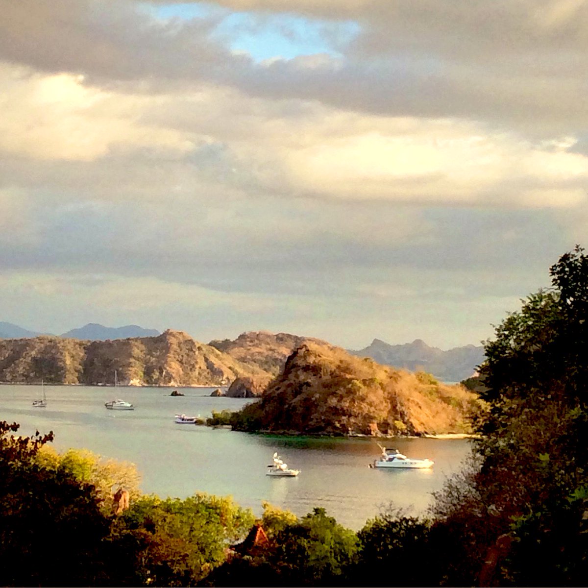 sarah sechan tweet media