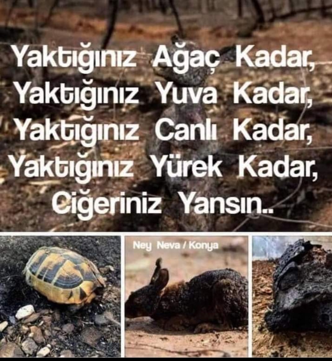 AMİN AMİN AMİN... #İZMİRYANIYOR #BOLUYANIYOR #Antalya #ateşinzebanileri #Aydemirakbaş