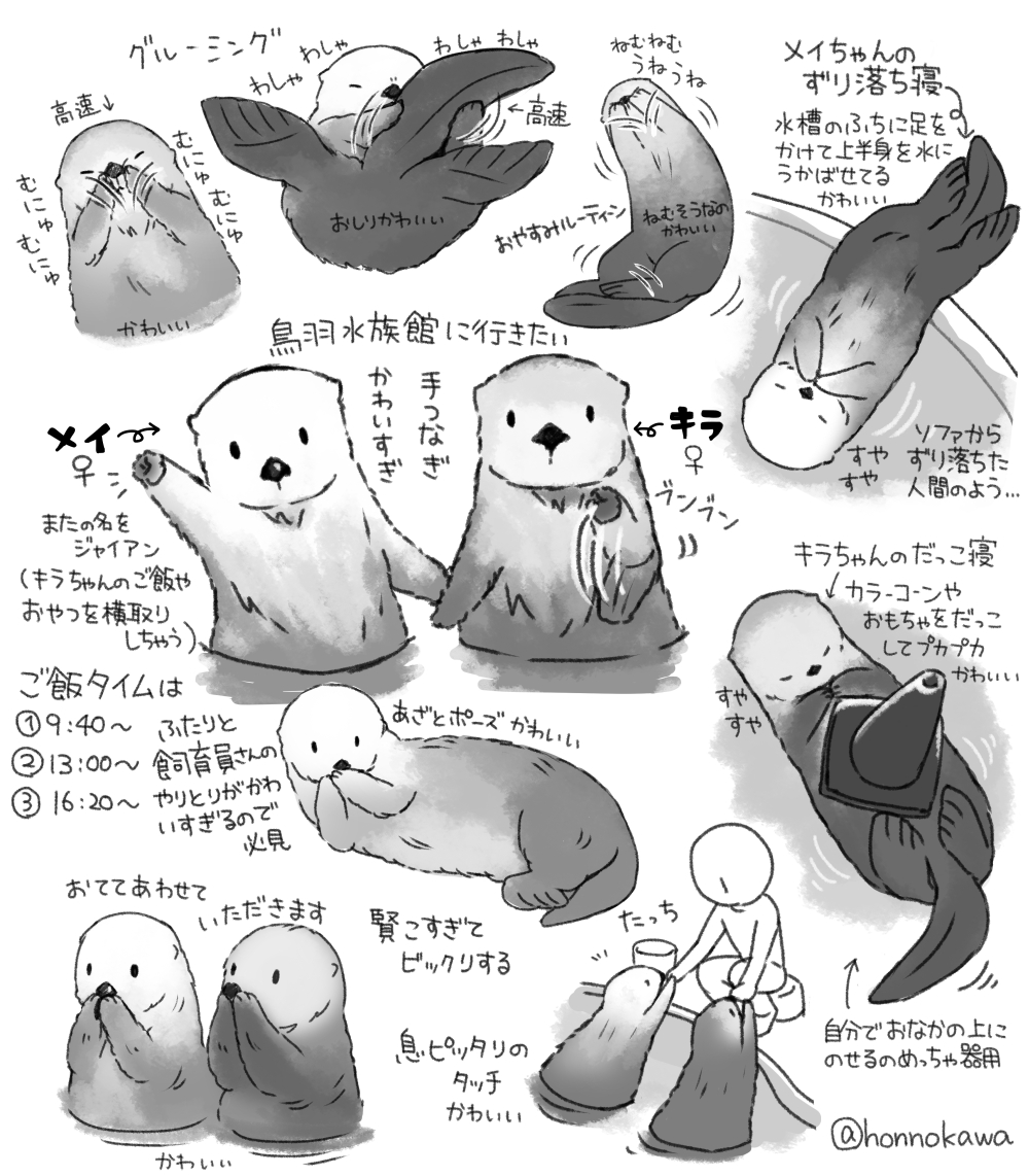honnokawa's tweet photo. 新しい板タブ届いたので筆慣らしにらくがき。
最近は鳥羽水族館のラッコライブカメラにメロメロです。キラちゃんメイちゃんかわいすぎてもう

[24時間放送]鳥羽水族館　ラッコ水槽ライブカメラ
https://t.co/4q6uJAgFL7 https://t.co/FzkVItY3vB
