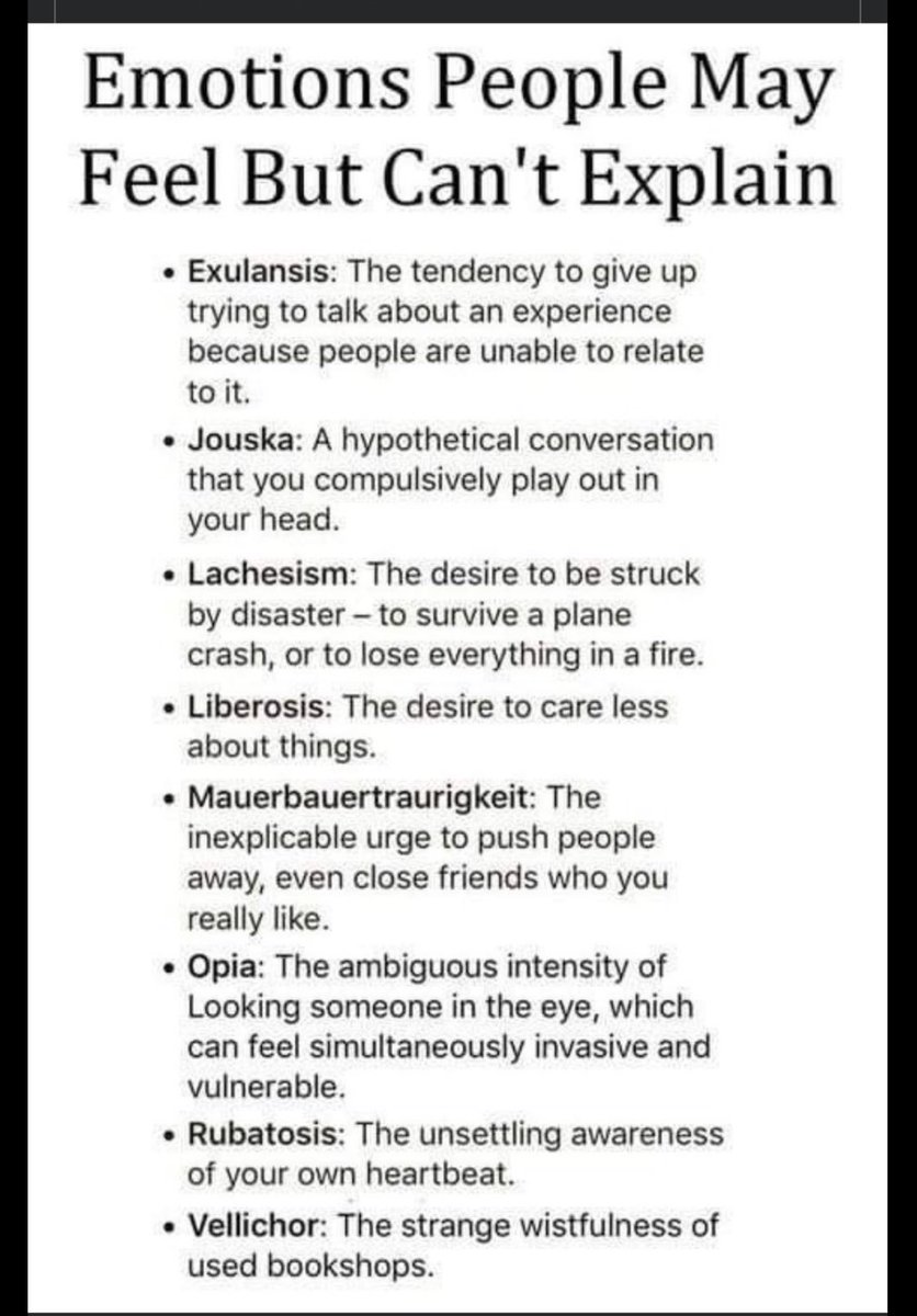 ADHDForReal's tweet image. 