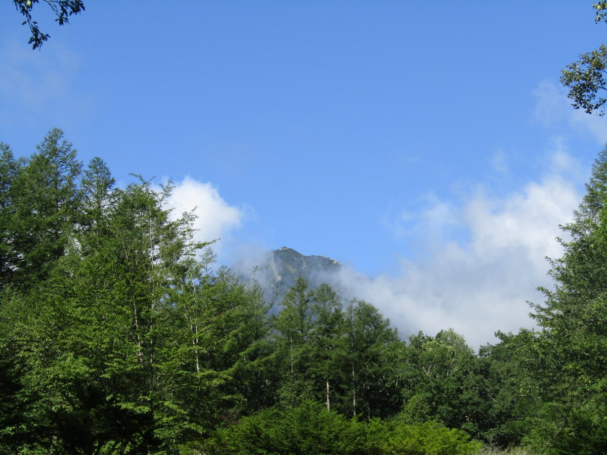 yatsu_lodge's tweet photo. 2024年8月17日 09:29 気温:22℃ 天気:晴
昨日の雨も今朝方には止み、ようやく晴れ間が見えてきました。
雨が降った次の日は星空がキレイに見えるものですが、
今夜はどうでしょうか?なんとか晴れて欲しいですね。
#八ヶ岳 #赤岳 #赤岳頂上小屋 #2899m #八ヶ岳高原ロッジ #今日の八ヶ岳 https://t.co/7VlnBZZ1tz