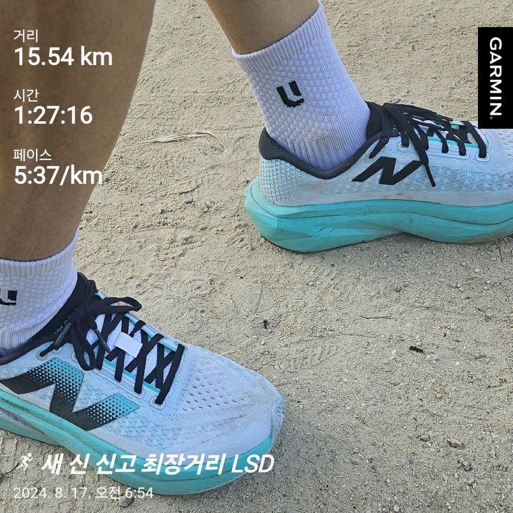 #주말LSD
