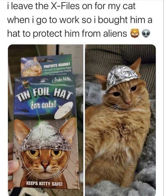 WholesomeMeme's tweet photo. https://t.co/e77lyiJgqO