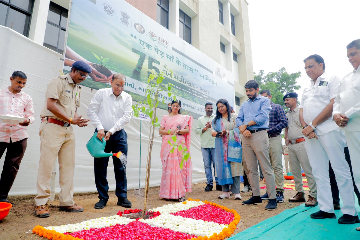 DCF SF GODHRA tweet media