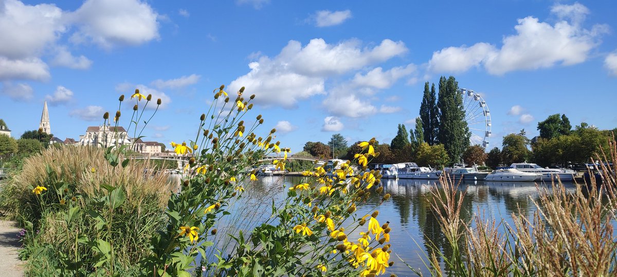 Bon weekend en #Auxerrois sur les Quais de l'#Yonne 
#Auxerre ♥️ le 🚲
#Bourgogne 
#photo #photooftheday #PictureOfTheDay #picoftheday <a href="/PhotosHDR/">Photos-HDR.com</a> @ChouettePhoto <a href="/OutdoorPhotoMag/">Outdoor Photographer</a> @OC_Photos <a href="/GeoTraveler/">GeoTraveler</a> <a href="/NatGeoPhotos/">Nat Geo Photography</a> <a href="/IGersFrance/">Instagramers France</a> <a href="/igersbourgogne/">igers Bourgogne</a> <a href="/IgersAuxerre/">IgersAuxerre</a> <a href="/earth/">Earth</a>