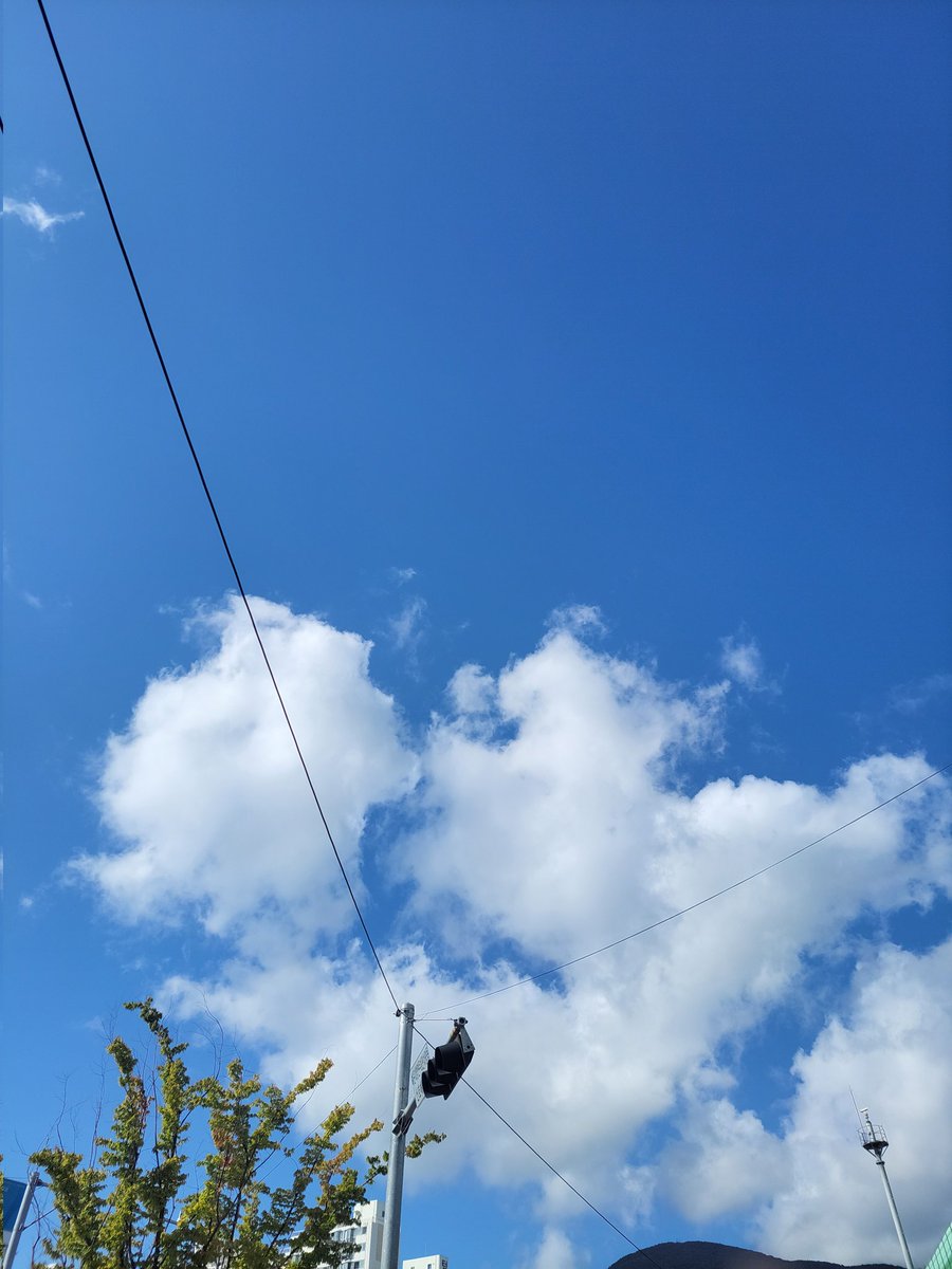 мσкα (@grafguur) on Twitter photo 