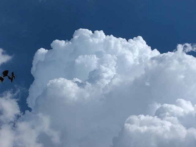 atsushi_ig's tweet photo. 夏らしい雲が出ていた。 https://t.co/SD8WVnH3aA