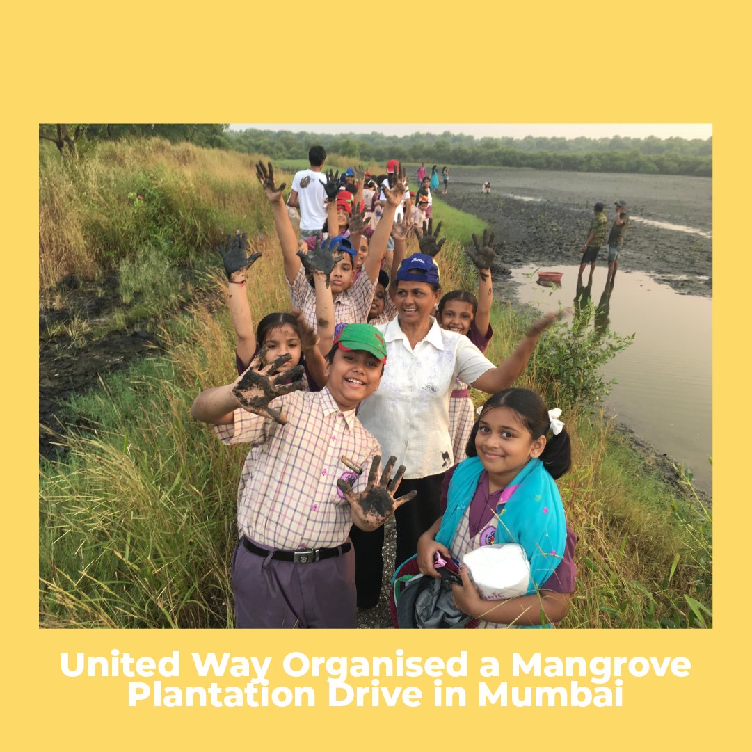 daanutsav's tweet photo. In the spirit of #DaanUtsav, the volunteers of United Way joined hands for a Mangrove Plantation Drive 🌱Each sapling represents the commitment to giving back to the Earth and building a sustainable future.

Let’s keep the spirit of giving alive, one tree at a time🌳 https://t.co/rdTOfUjgtc