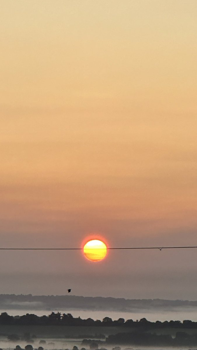 DoctorJeal's tweet photo. Morning 🌅 https://t.co/pKeID2gW2R
