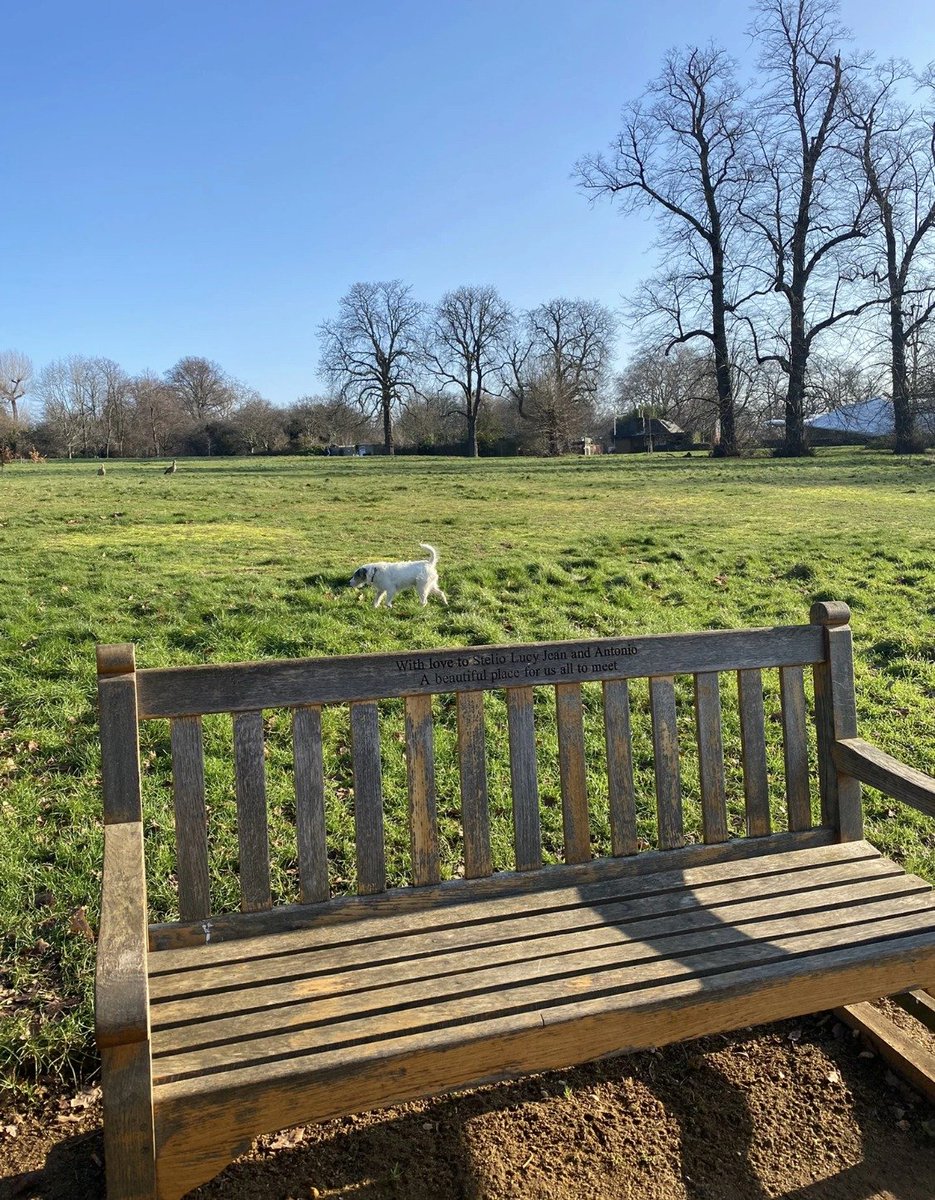 Lisa06539387's tweet photo. #LONDON The beginning of a better life in daily exercise😄 https://t.co/49isglvbUd