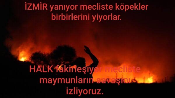 MEHMETALKINALI's tweet photo. https://t.co/mXmToOTyyT