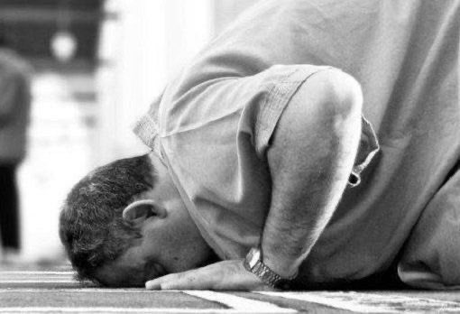 "اسم الدواء: "لا تقلق بعد اليوم"
مكوناته: لا إله إلا أنت سبحانك 
إني كنت من الظالمين
طريقة استعماله: 
ترديده وقت السجود
خواصه: يبعث في النفس الطمأنينة، ويطرد الحزن والقلق، ويدفع سرطان الكبر.
دواعي الاستعمال: عند الشعور بالوحشة وسائر أنواع الألم.
مدة العلاج: مدى الحياة"