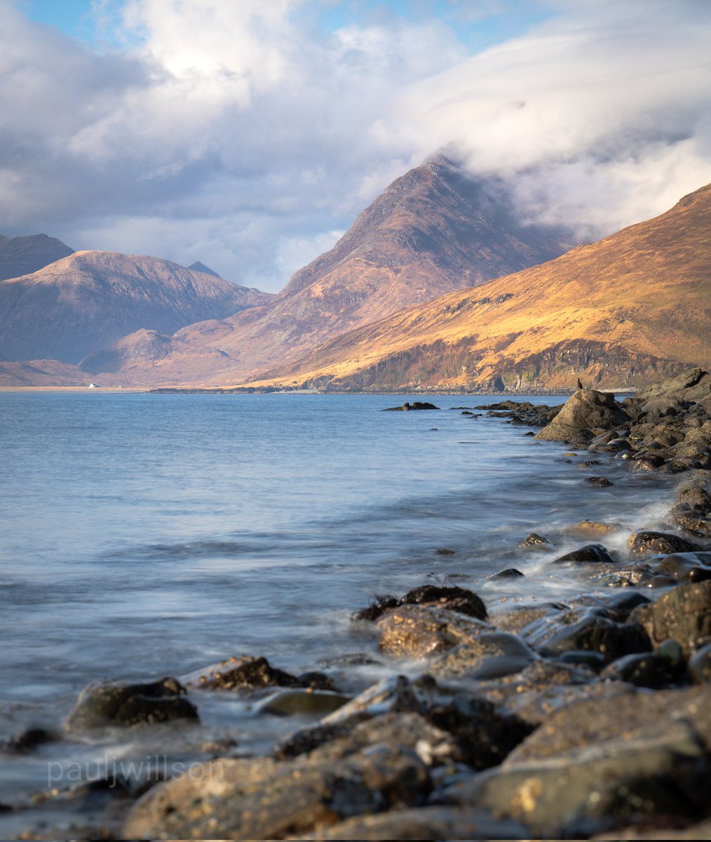 Paul Willson tweet media