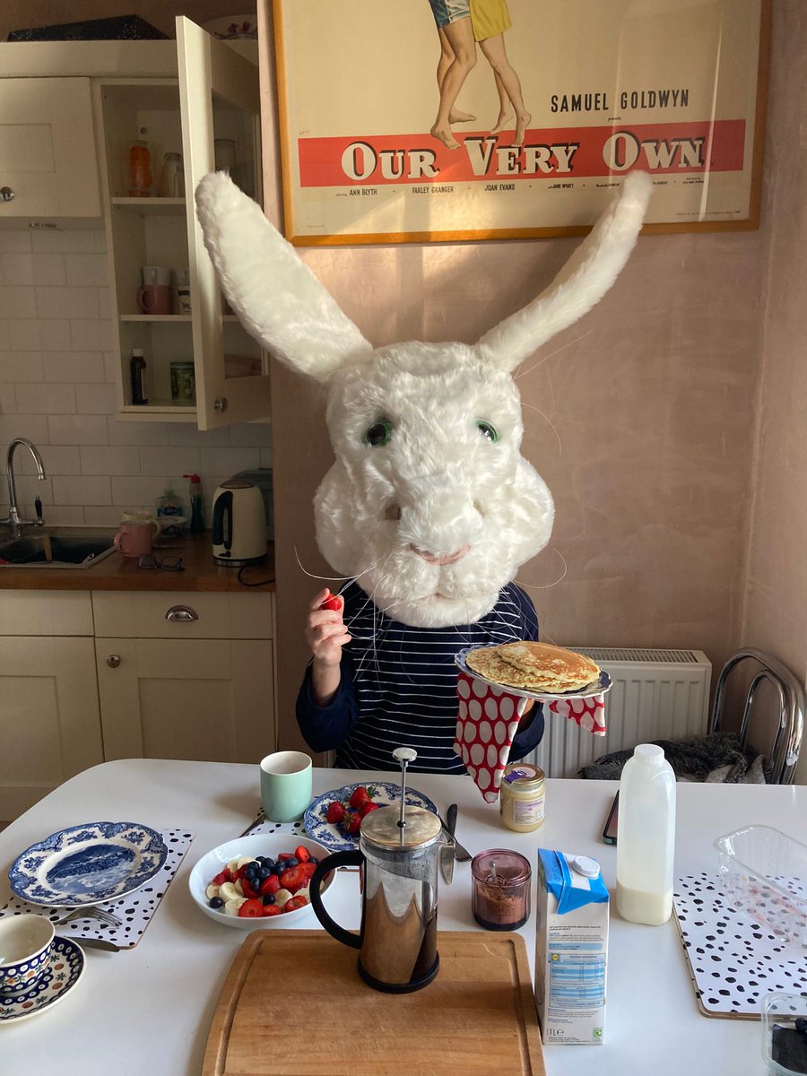 Regardless of what results you have or the worry of what your next step is. Take time out and have a year to breathe. Exam results don't really define what you do in the future. Who knew when l left school with no qualification? I'd become a bunny and a PhD candidate!