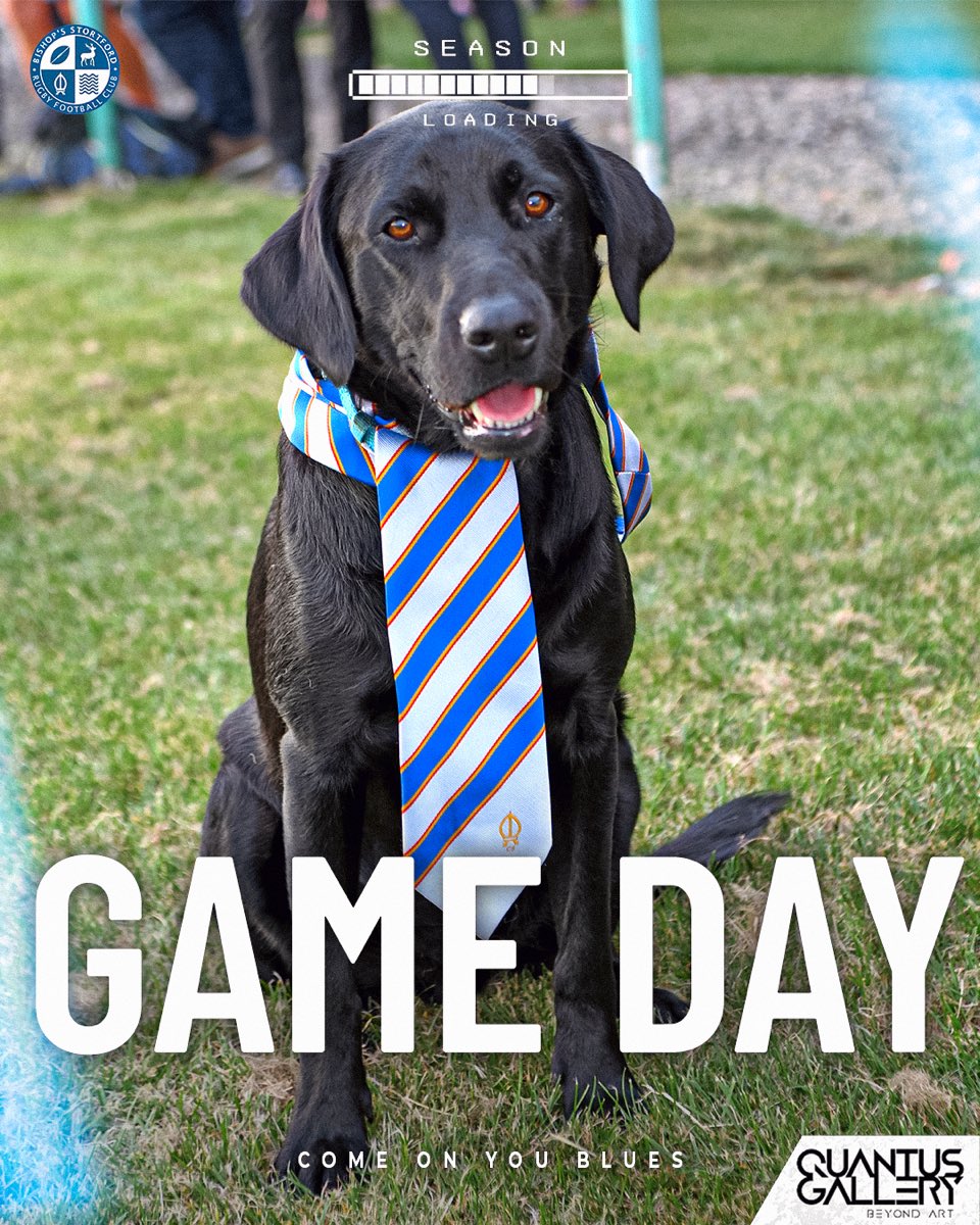 ⏰ GAME DAY ⏰

Pre-Season Fixtures are here, make sure you’re there to see some new faces and maybe even an appearance from BSRFC’s new boss, Toby 🐶

KICK OFF
1XV - 15:00 @ Home V Tonbridge Juddians 
Blues - 15:00 @ Home V Harlow RFC

💙🤍
#COYB