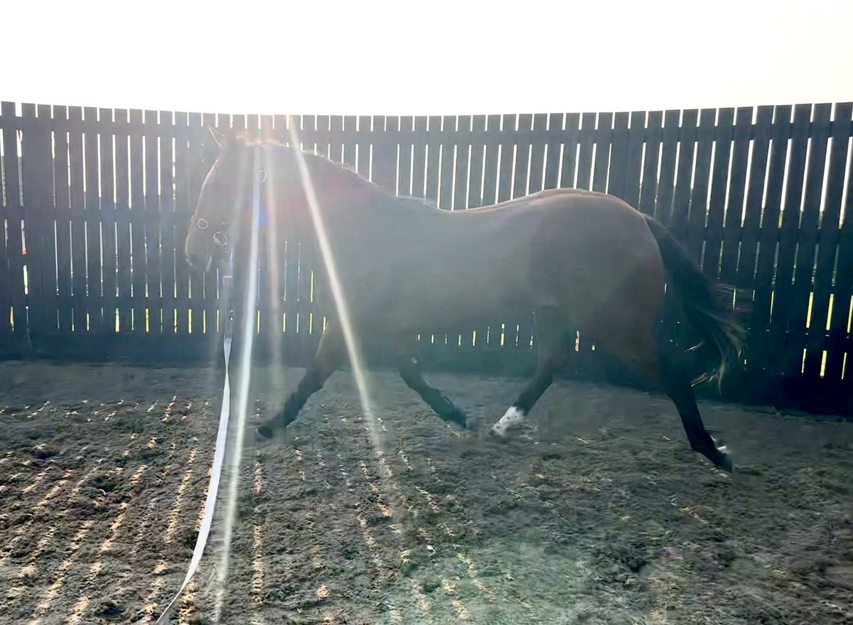 Tracy Vigors tweet media