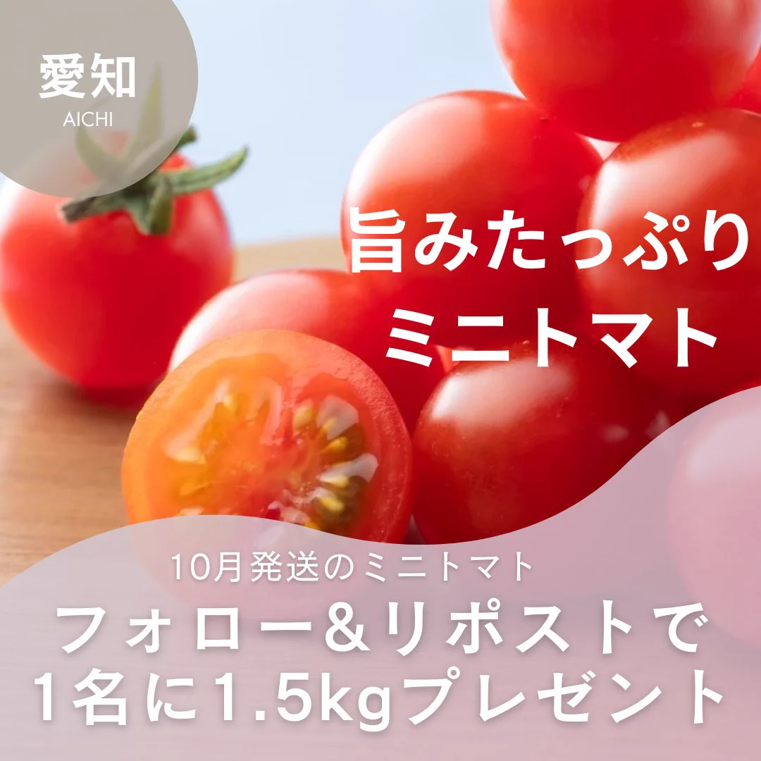 あつとま@渥美半島とまとランドのトマト王子🍅ミニトマト専門農家