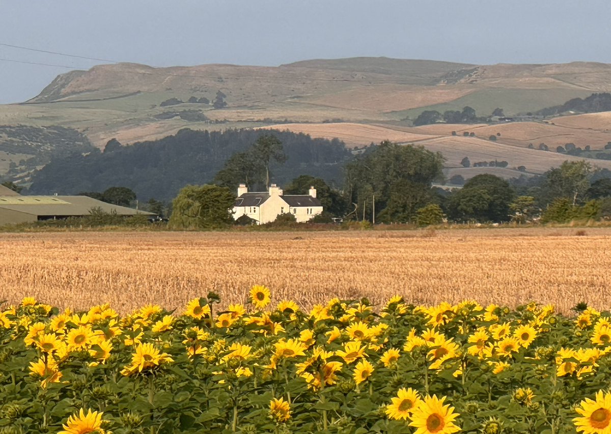 A traditional Gowrie Farmhouse under (to the left)  Evelick Hill-fort megalithic.co.uk/article.php?si…