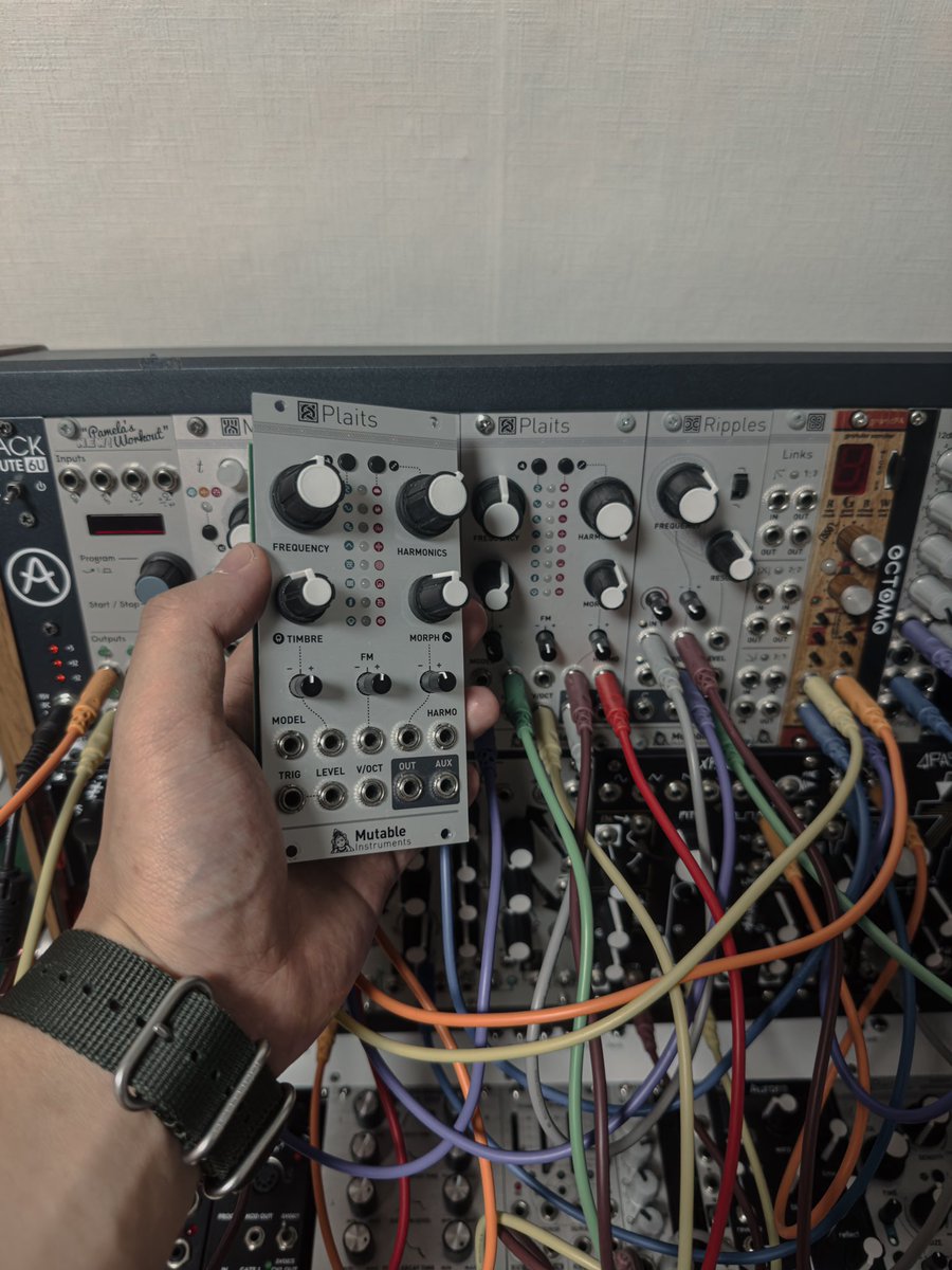 blacktshirtman's tweet photo. add modular! 🎛️🔉 #plaits https://t.co/qjoCwDaoFv