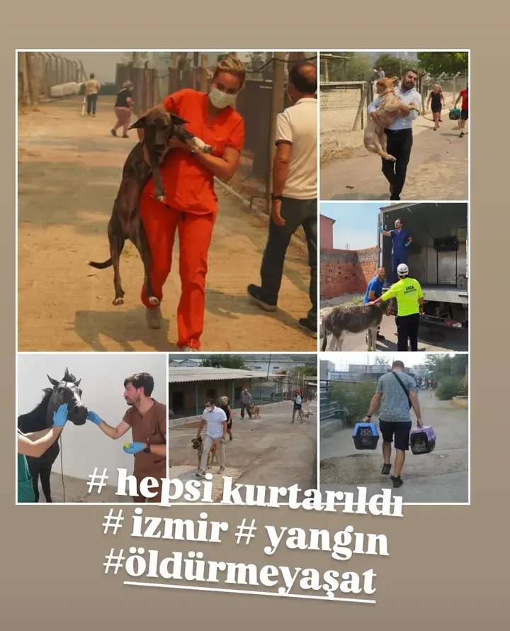 Bir tarafta yaşatmaya çalışanlar, bir tarafta öldürmeye, zehirlemeye, yok etmeye çalışanlar. Toplumsal kutuplaşma bu boyuta hiç ulaşmamıştı. Ama vicdan kazanacak!

#öldürmeyaşat