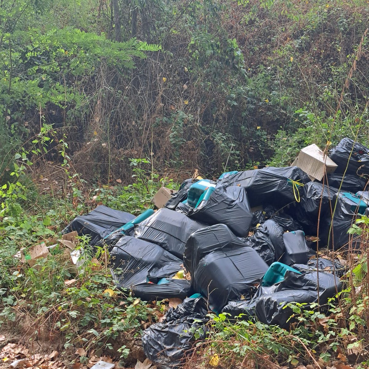 MilpinsPOBLE's tweet photo. Avui per Marata hem trobat aquest abocament inmensa amb fertilitzants químics i residus que contaminen tot el torrent... És urgent netejar-lo @agentsruralscat @plfranqueses @JACorchado @eliadelom @lesfranqueses @el9nou_vor @DiariSomGRN https://t.co/3ae3HGA5aA