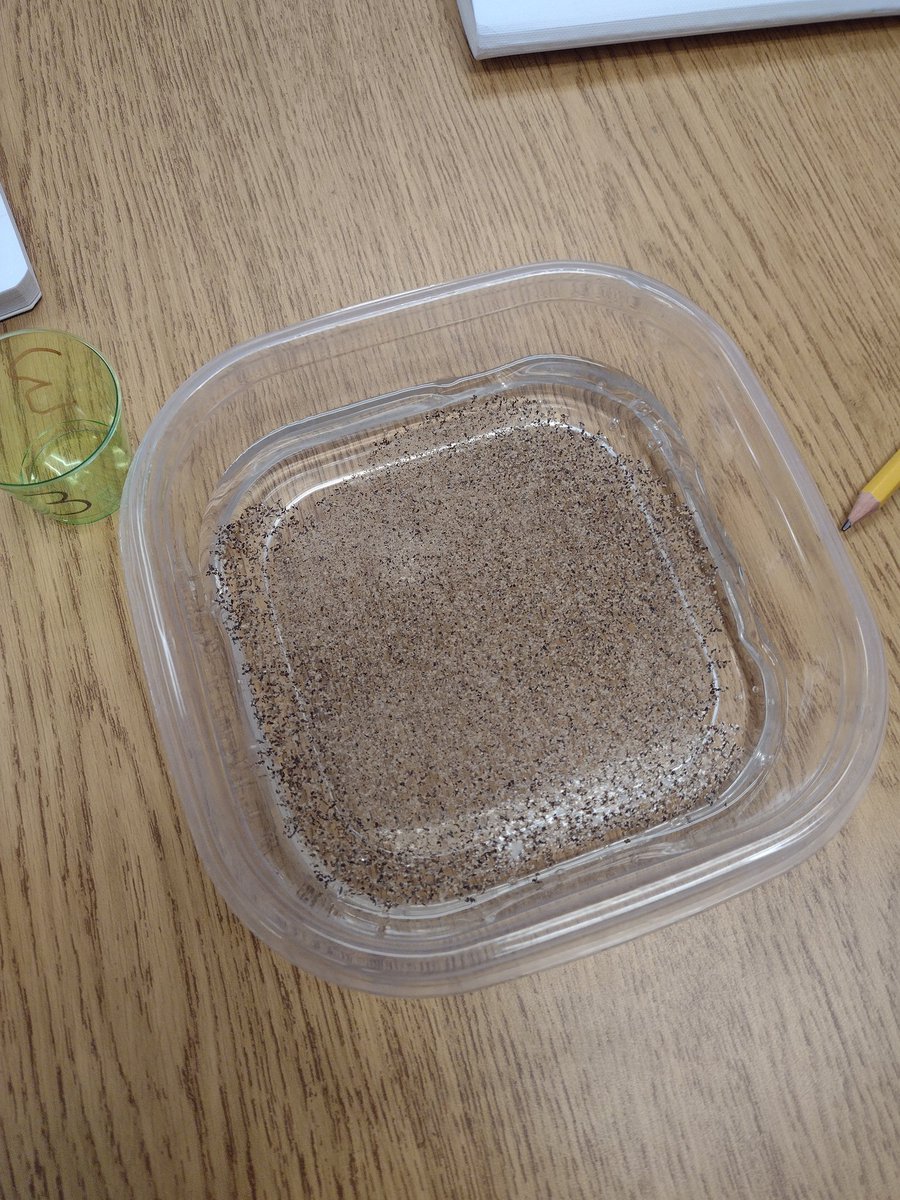 HES Mrs. Brown tweet media