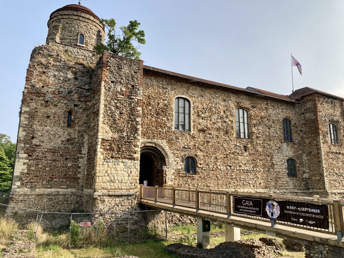 GOOD MORNING #SunnyColch 😎