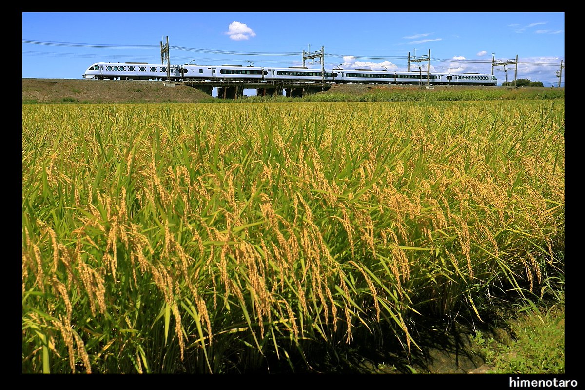 xdngf645's tweet photo. 20240817112419 - 写真共有サイト「フォト蔵」 https://t.co/SXDRVLP2Ag
#東武鉄道
#SPACIA_X https://t.co/VJuAkQUut1