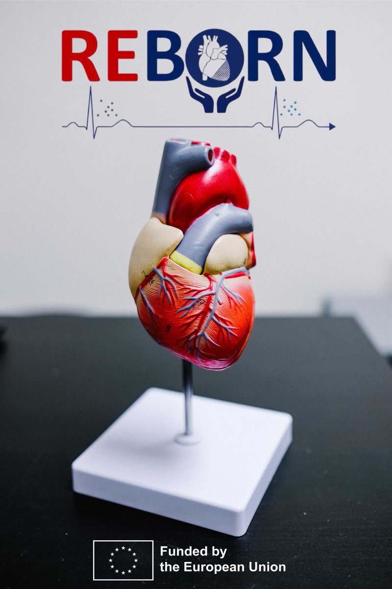 Reborn Project tweet media